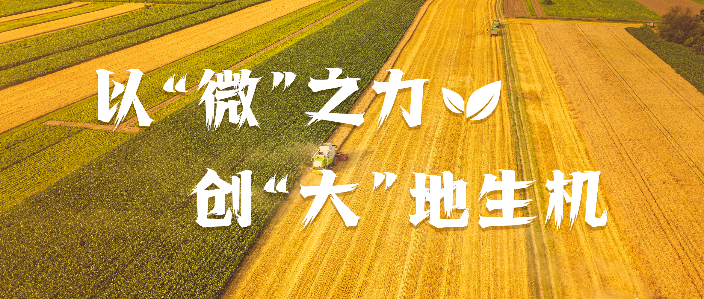 &#31859;&#20848;&#24179;&#21488;&#45;&#31859;&#20848;&#40;&#20013;&#22269;&#41;